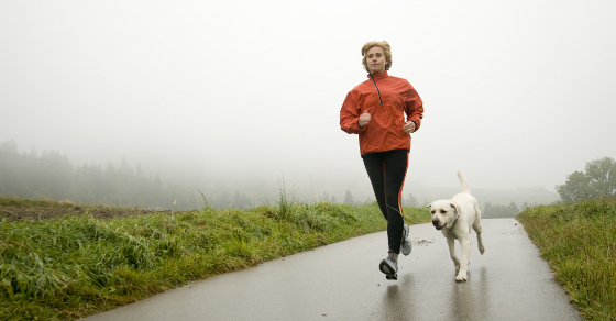 Running With Your Labrador