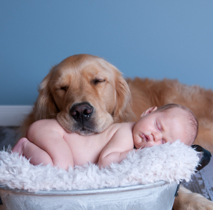 dog and baby