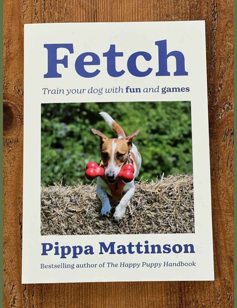 photo of a book called fetch on a wooden coffee table