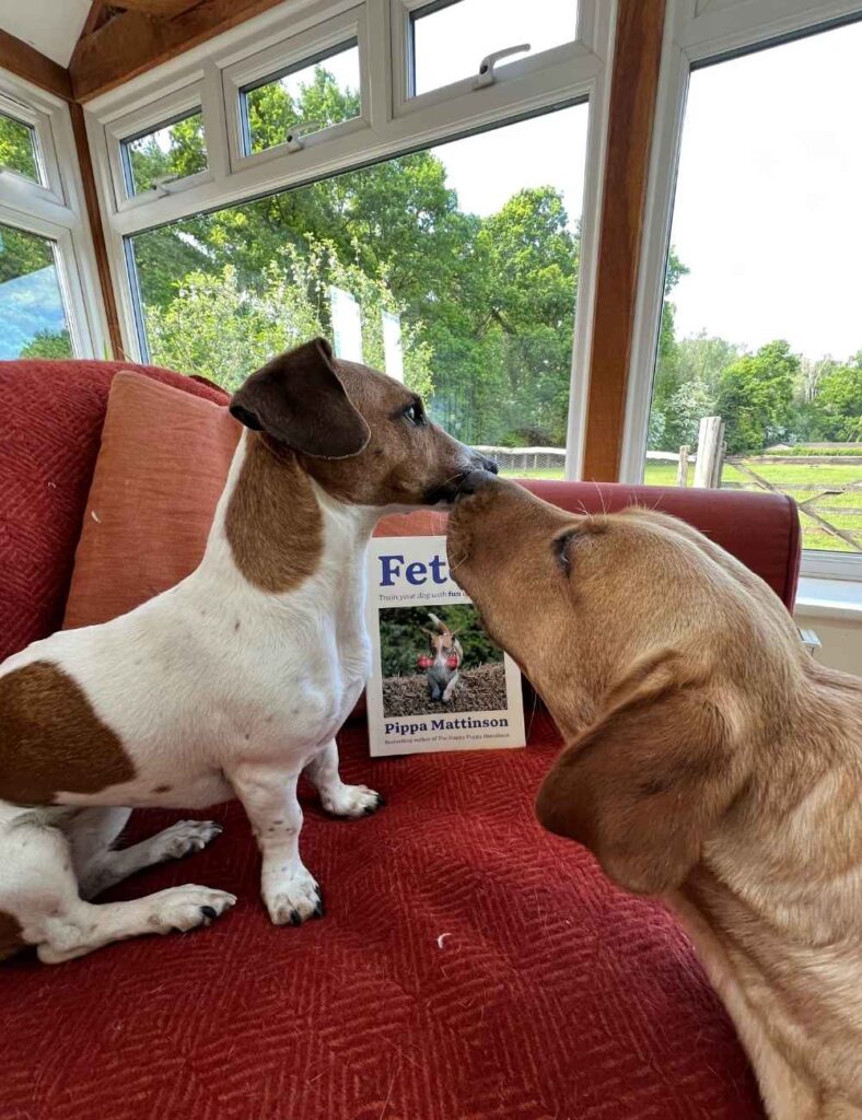 Photo of a Yellow Labrador and a Jack Russell Terrier in front of a copy of a book called Fetch