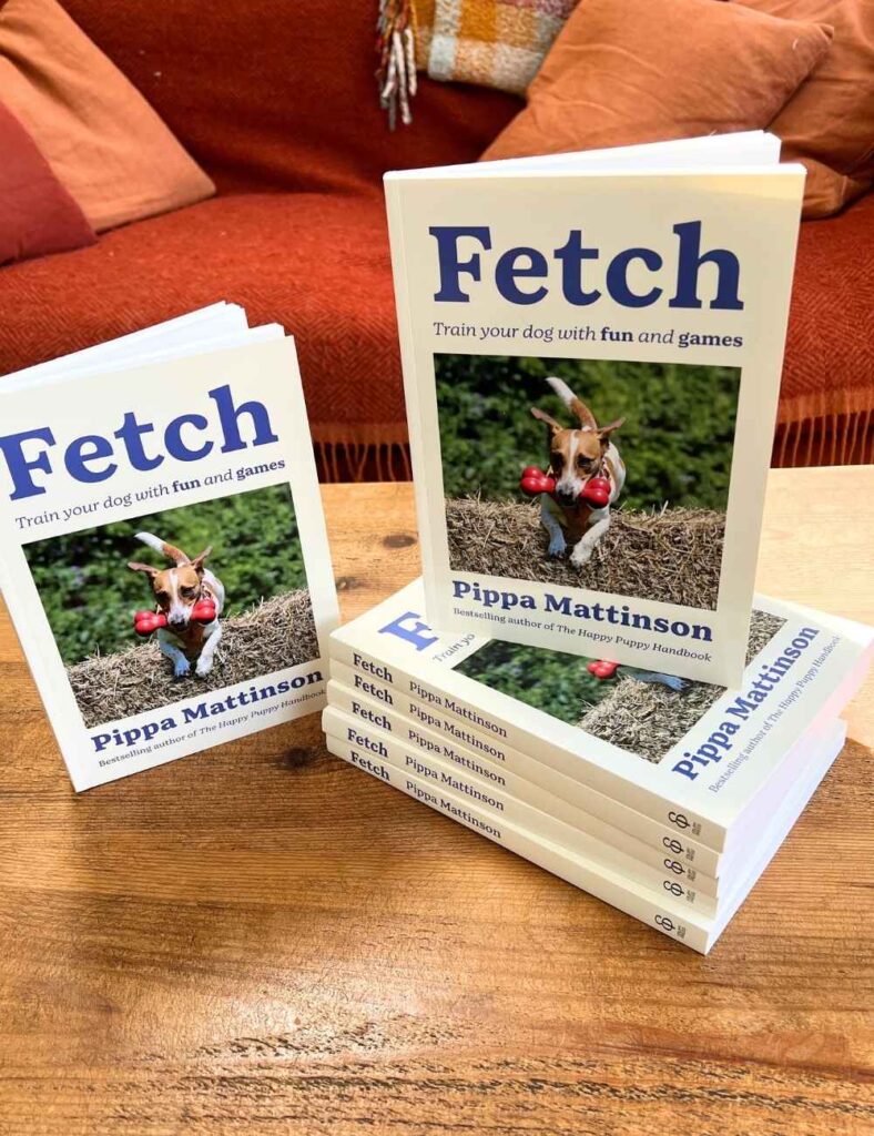 photo of books - fetch by Pippa Mattinson - on a wooden table