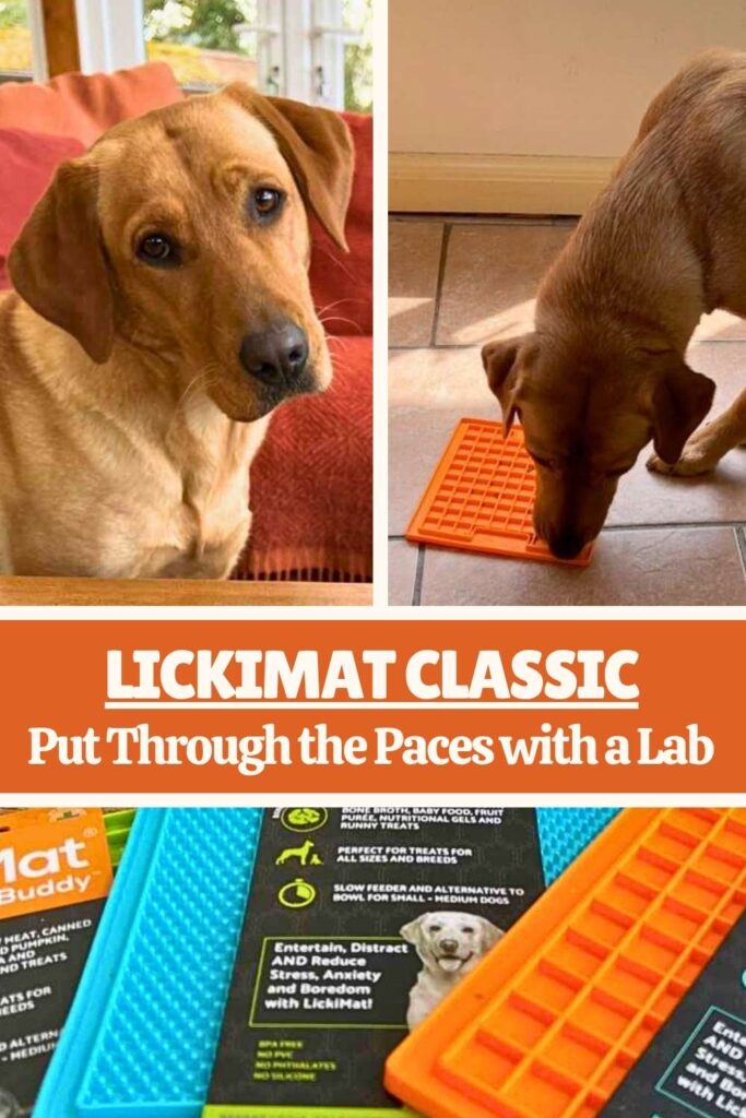 photos of lick mats and a yellow lab with text that reads: lickimat classic
