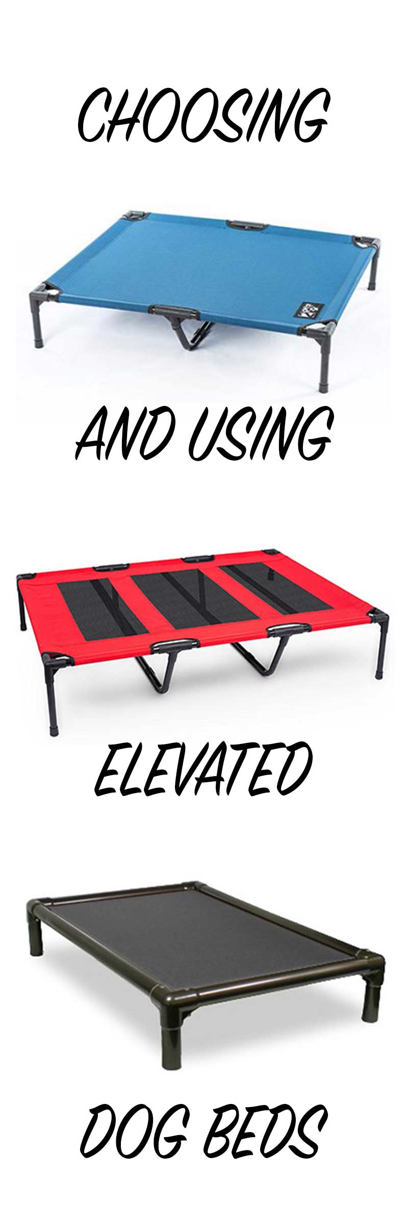 choosing and using a raised dog bed - a personal review